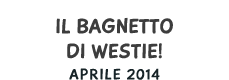 Il bageltto di Westie