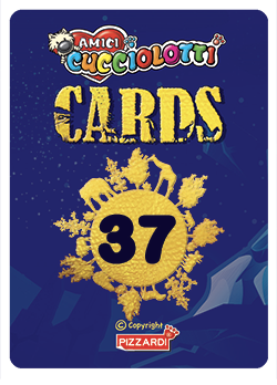 Cards 2023 - Nr 37