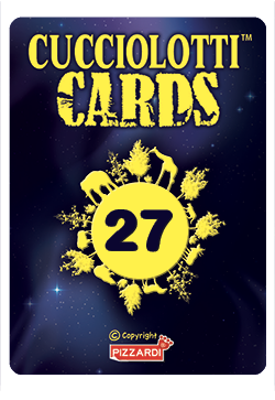 Cards 2024 - Nr 27