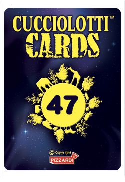 Cards 2024 - Nr 47