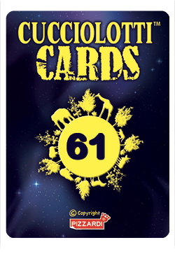 Cards 2024 - Nr 61