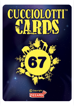 Cards 2024 - Nr 67