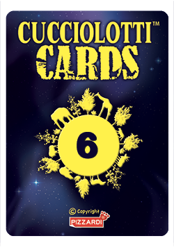 Cards 2024 - Nr 6