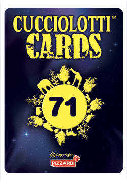 Cards 2024 - Nr 71