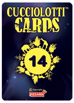 Cards 2025 - Nr 14