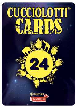 Cards 2026 - Nr 24