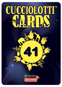 Cards 2026 - Nr 41