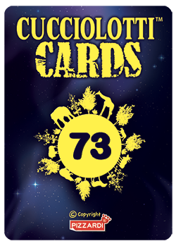 Cards 2026 - Nr 73