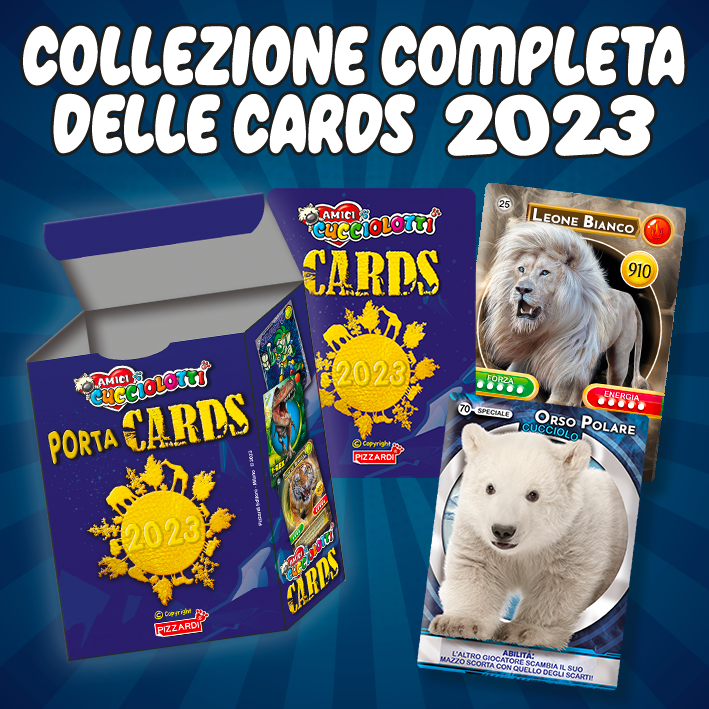 collezionecompletacards20232